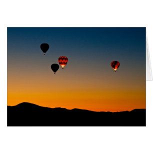 Cartão Mosca vinda ausente