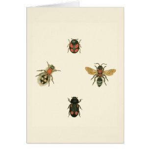 Cartão Moscas e besouros pelo Vision Studio