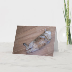 Cartão Moscas Hosico