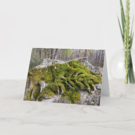 Cartão Mossy Broken Headstone