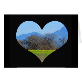 Cartão Mostarda que floresce na primavera Sonoma County