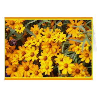 Cartão Mostra de flor ex