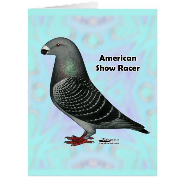 Cartão Mostrar ASR do Racer (Frente)