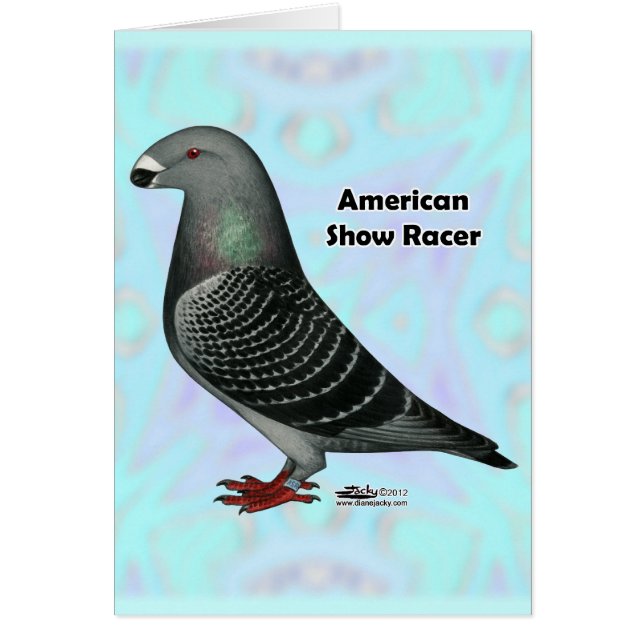 Cartão Mostrar ASR do Racer (Frente)