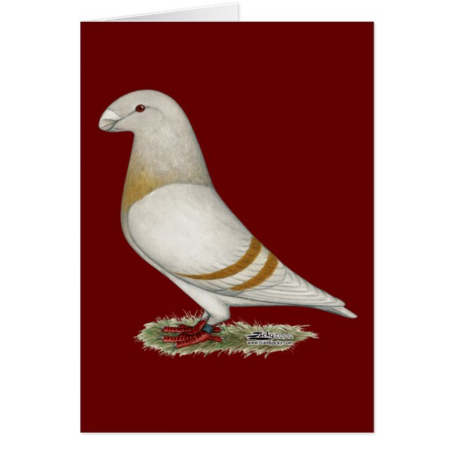 Cartão Mostrar Bar Amarelo Racer (Frente)