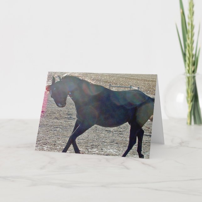 Cartão Mostrar Desativado (Frente)