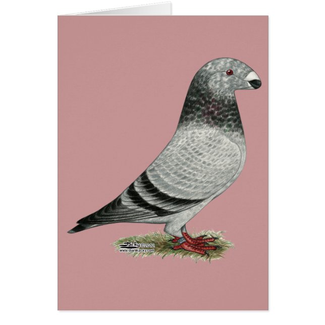 Cartão Mostrar Grizzle Racial (Frente)