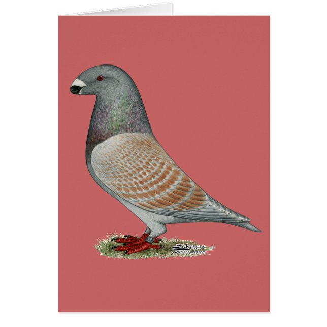 Cartão Mostrar Opção Recessiva do Racer (Frente)