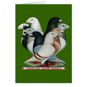 Cartão Mostrar Raios Oito