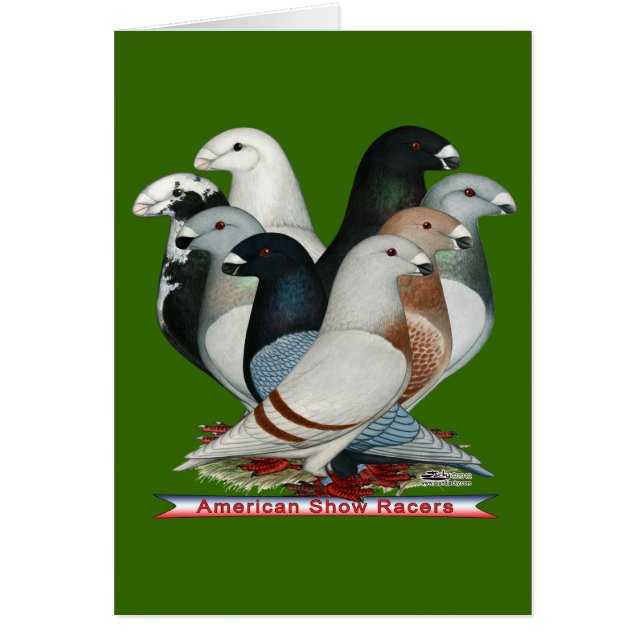 Cartão Mostrar Raios Oito (Frente)