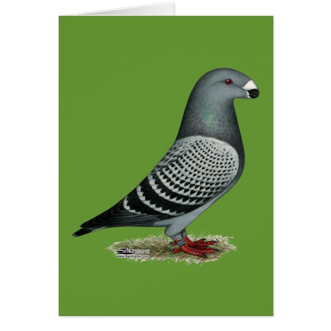 Cartão Mostrar Verificação de Luz do Raio (Frente)