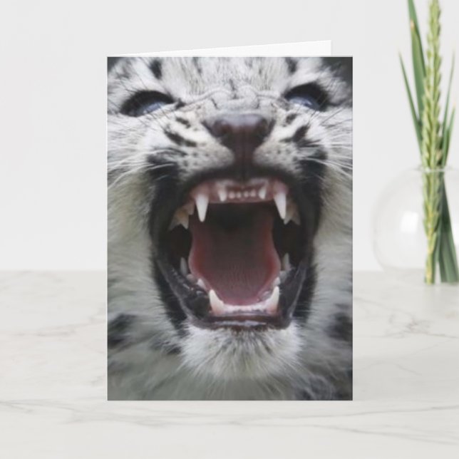 Cartão mostre seus dentes (Frente)