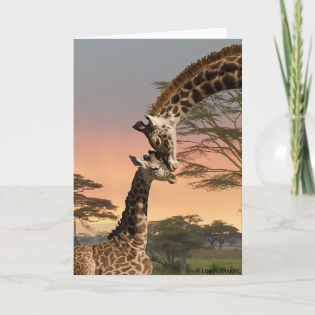 Cartão Mother and Baby Giraffe (Frente)
