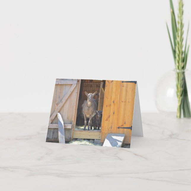 Cartão Mother and Baby Goat Notecard (Frente)