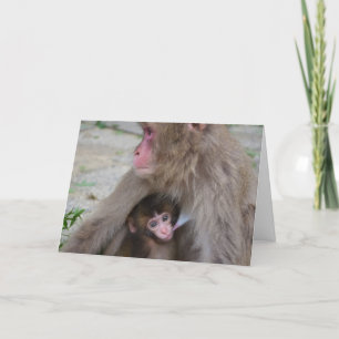 Cartão Mother And Baby Monkey Mother's Day Card