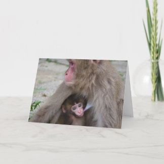 Cartão Mother And Baby Monkey Mother's Day Card