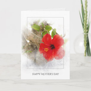 Cartão Mother' Day red hibiscus flower in silver framing