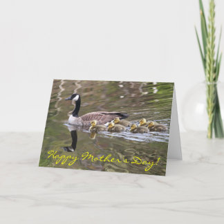 Cartão Mother Goose and Baby Geese Photo