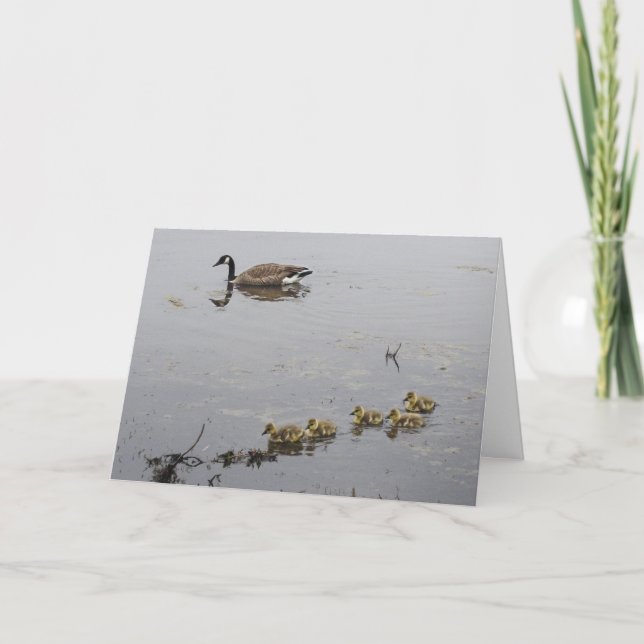 Cartão Mother Goose and Goslings Mother's Day card (Frente)