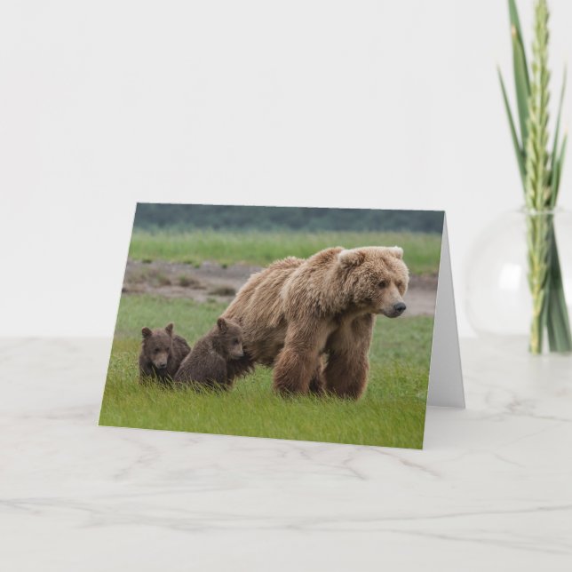 Cartão Mother Grizzly Bear with Twin Cubs (Frente)