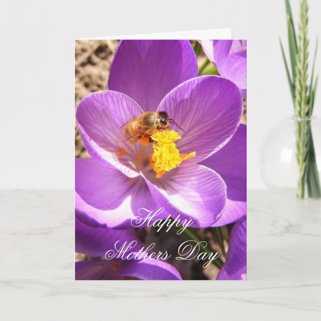 Cartão Mothers Day 30 ~ card (Frente)