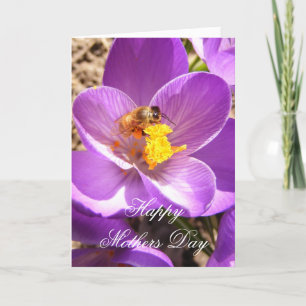 Cartão Mothers Day 30 ~ card