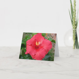 Cartão Mother's Day Card