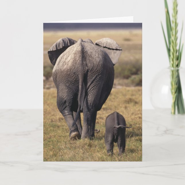 Cartão mothers day card (Frente)