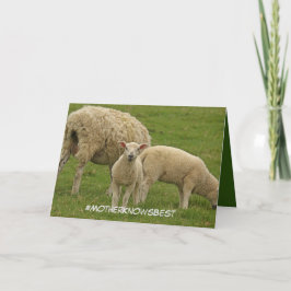Cartão Mother's Day card featuring lamb