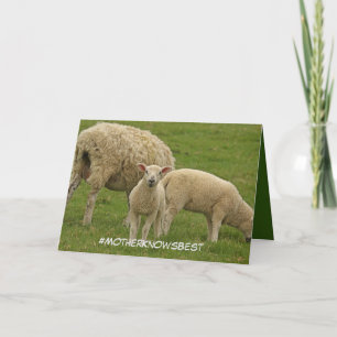 Cartão Mother's Day card featuring lamb