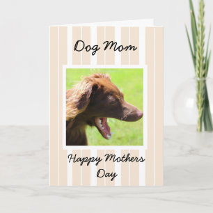 Cartão Mothers Day Card for Dog Moms