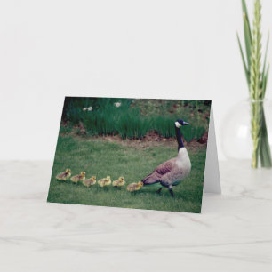 Cartão Mother's Day card goose with 6 goslings