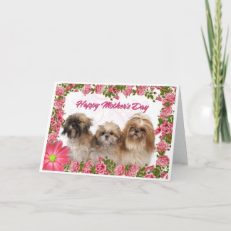 Cartão Mother's Day Card - Shih Tzu Dogs - Pink Floral