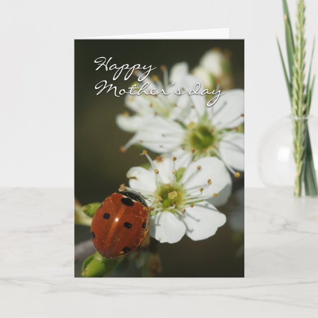 Cartão Mother's Day Card With Ladybird On Hawthorn - Lady (Frente)