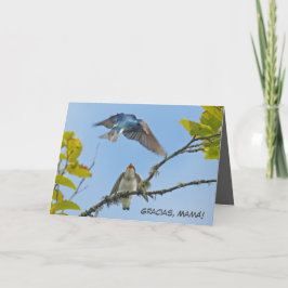 Cartão Mother's Day card with tree swallows (Spanish)