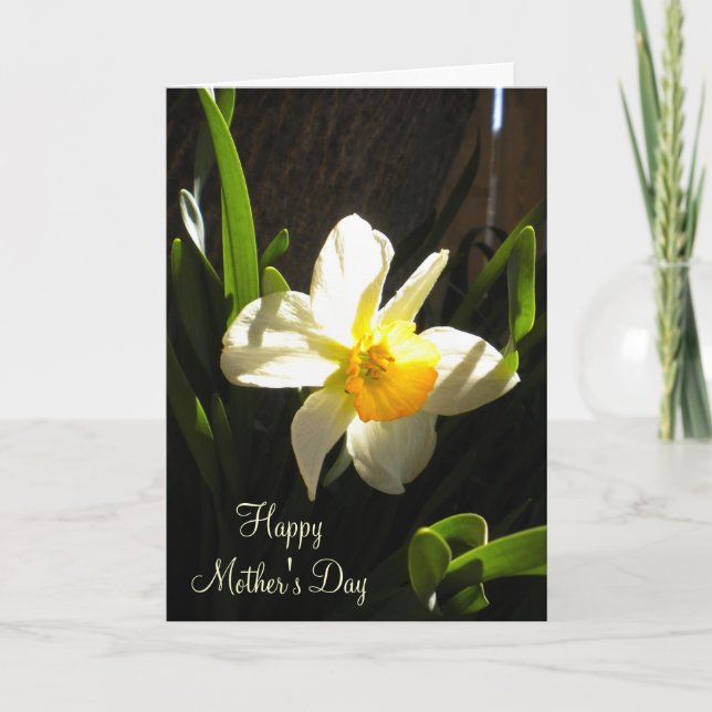 Cartão Mothers Day Daffodil Card (Frente)