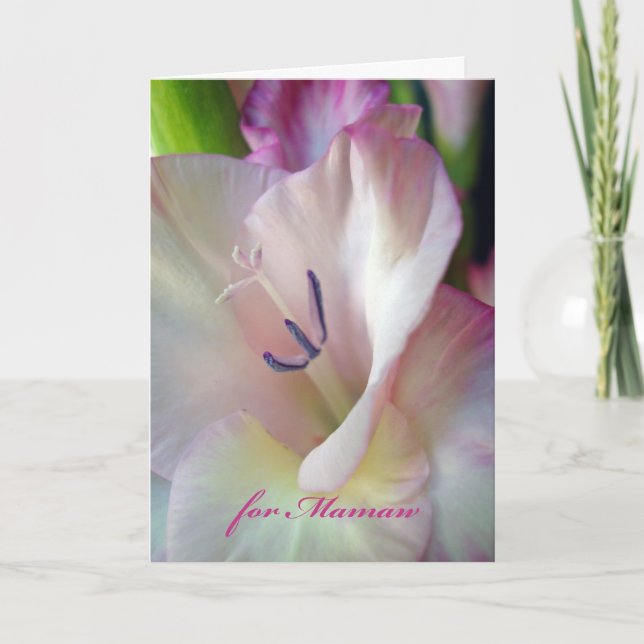Cartão Mother's Day for Mamaw, Gladiolus Photograph (Frente)