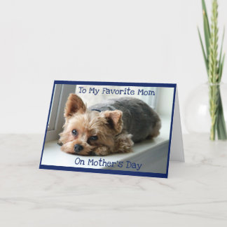 Cartão Mother's Day for Yorkie Moms Folded Greeting Card