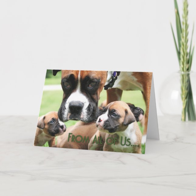 Cartão Mothers Day - From All of Us Boxer Puppies - Vindy (Frente)
