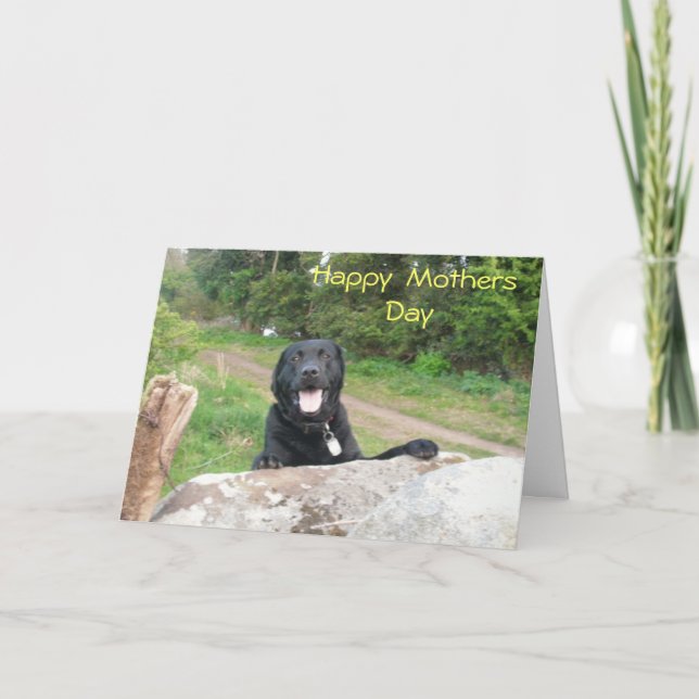 Cartão Mothers Day Greetings (Frente)