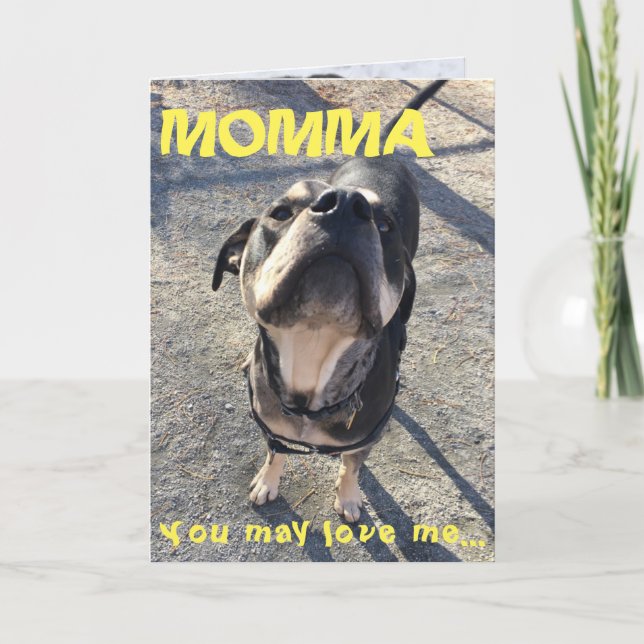 Cartão Mother's Day Licking from Dog (Frente)