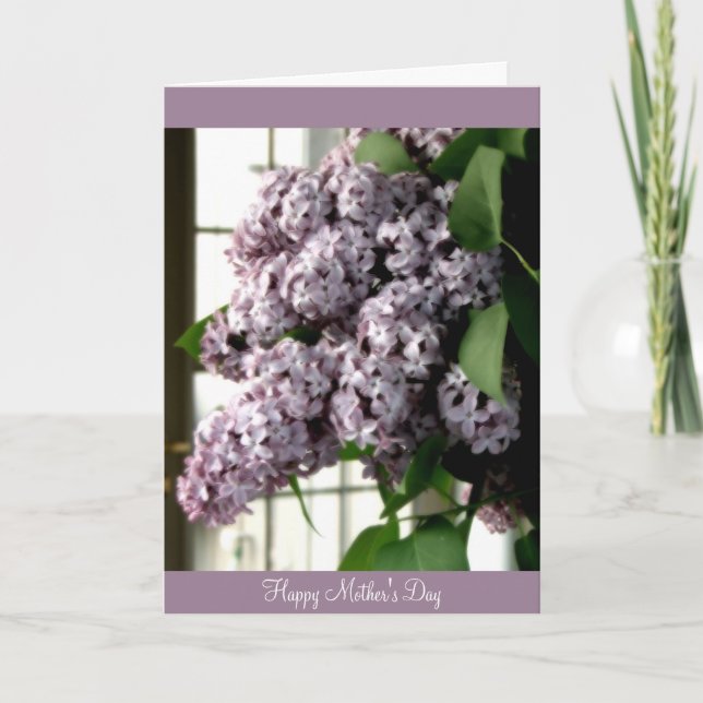 Cartão Mother's Day Lilacs (Frente)
