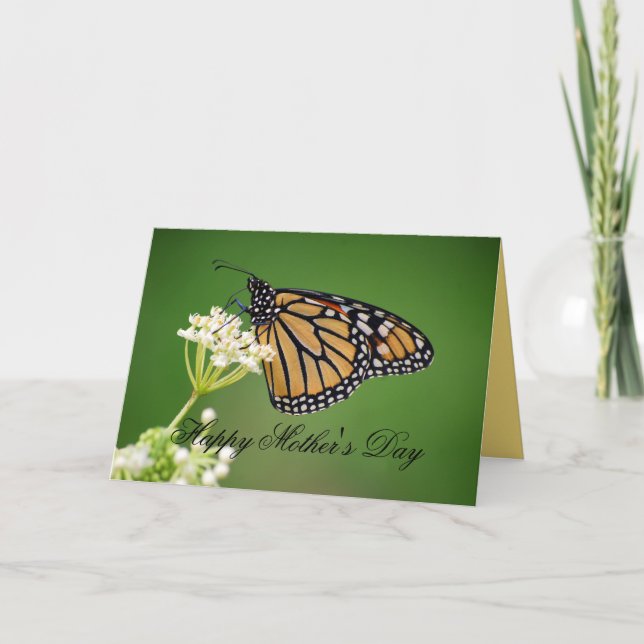 Cartão Mother's Day Monarch Butterfly on White Milkweed (Frente)