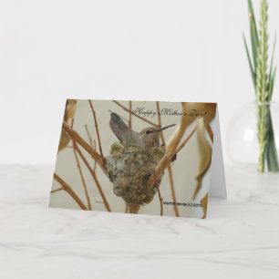 Cartão Mother's Day - Mother Hummingbird - Card