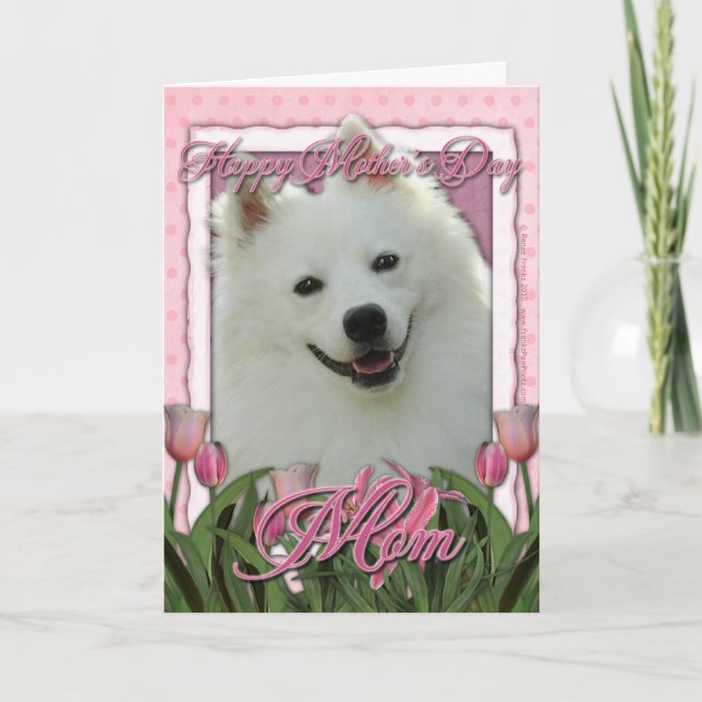 Cartão Mothers Day - Pink Tulips - American Eskimo (Frente)