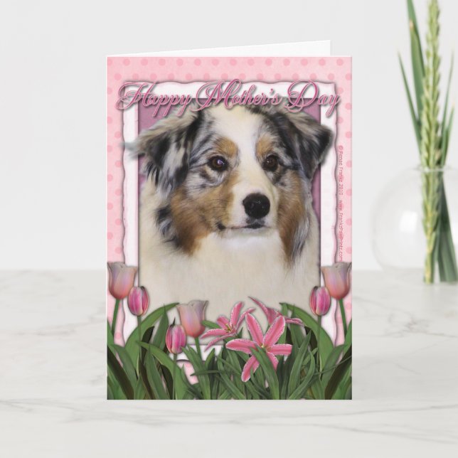 Cartão Mothers Day - Pink Tulips - Australian Shepherd (Frente)