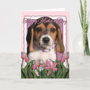 Cartão Mothers Day - Pink Tulips - Beagle Puppy