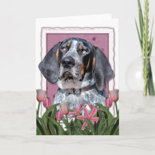 Cartão Mothers Day - Pink Tulips - Bluetick Coonhound