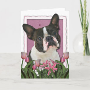 Cartão Mothers Day - Pink Tulips - Boston Terrier