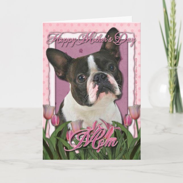 Cartão Mothers Day - Pink Tulips - Boston Terrier (Frente)